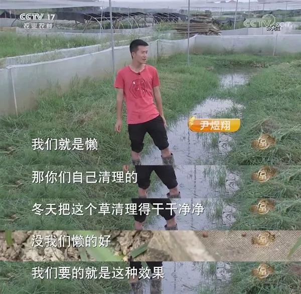 致富经 cctv7_cctv7致富經竹荪_致富经